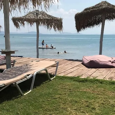 Villa To Rent Near The