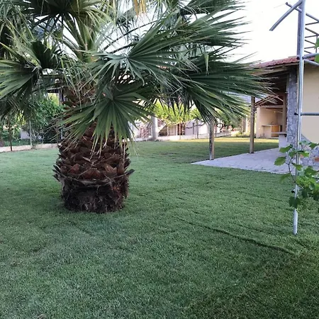 To Rent Near The Villa Skala (Evia)